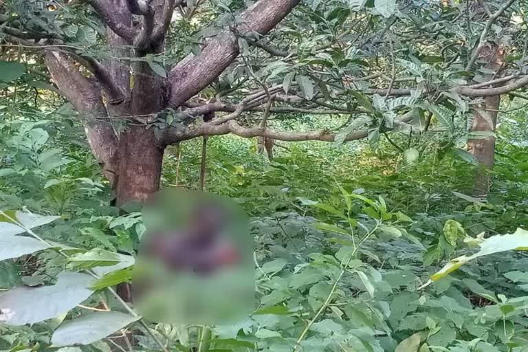 Dead body found of a man in Pakur