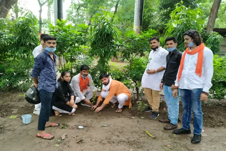 abvp activist did plantation in varanasi