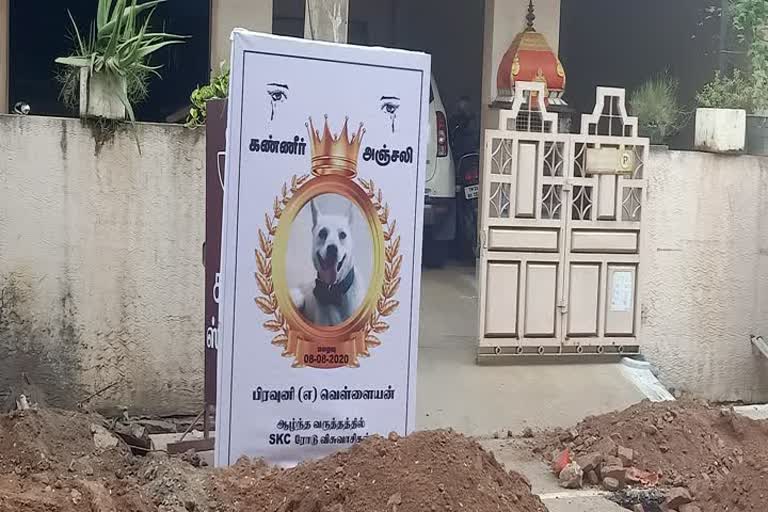 Public with tearful tribute banner for the dead dog