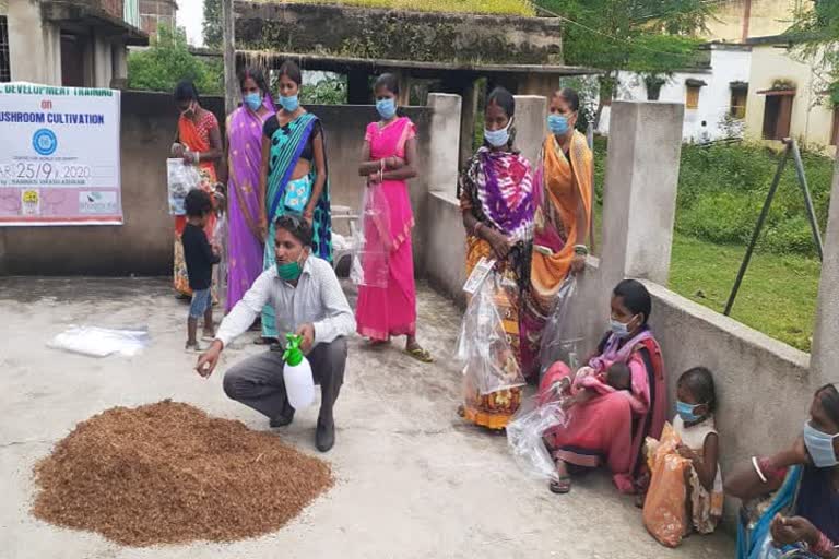 vocational training for mushroom farming in giridih