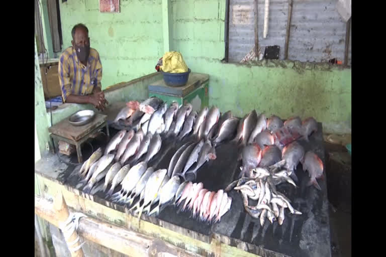 Fish shops in Erode