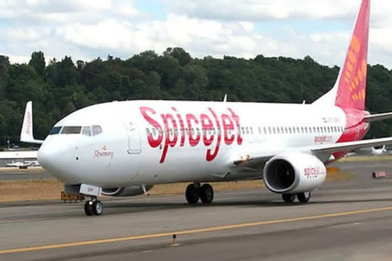 SpiceJet adds Sulaymaniyah, Almaty, Doha to cargo network