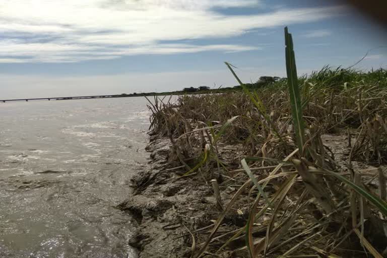 किसानों के लिए त्रासदी बनी बाढ़, पानी में विलीन हुआ दर्जनों एकड़ की फसल