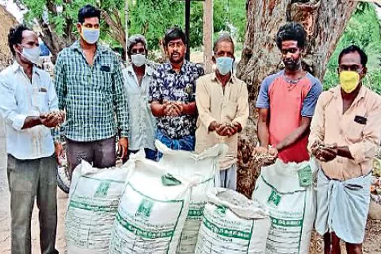 seeds distribution to farmer