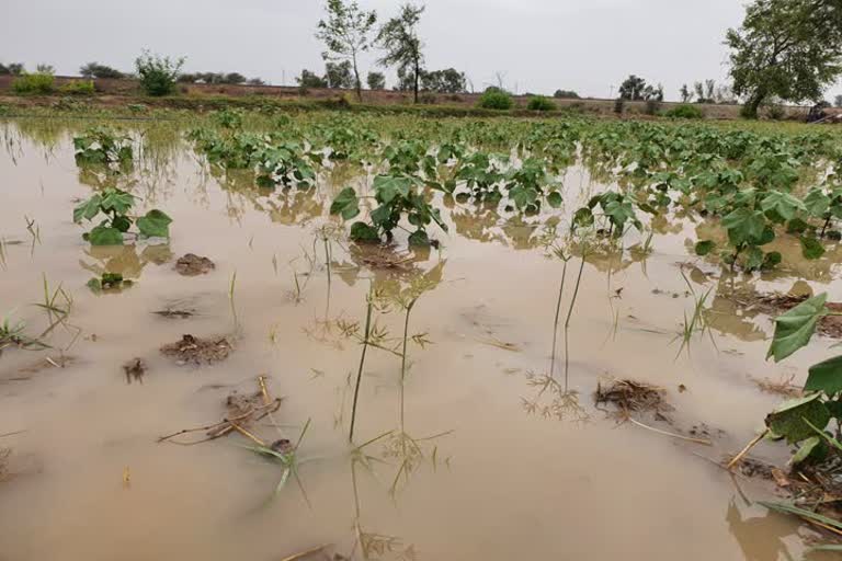 rain in Suratgarh, weather 