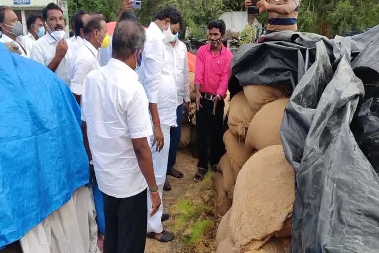 Vandavasi Direct Paddy Purchase: Farmers suffer as paddy bundles do not weigh!