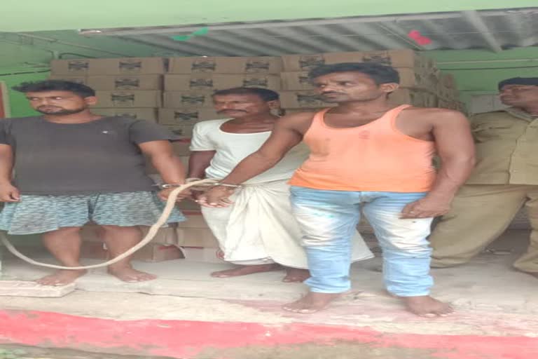 accused arrested with illegal liquor