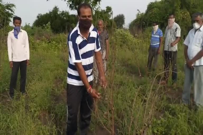 vadaodara farmer