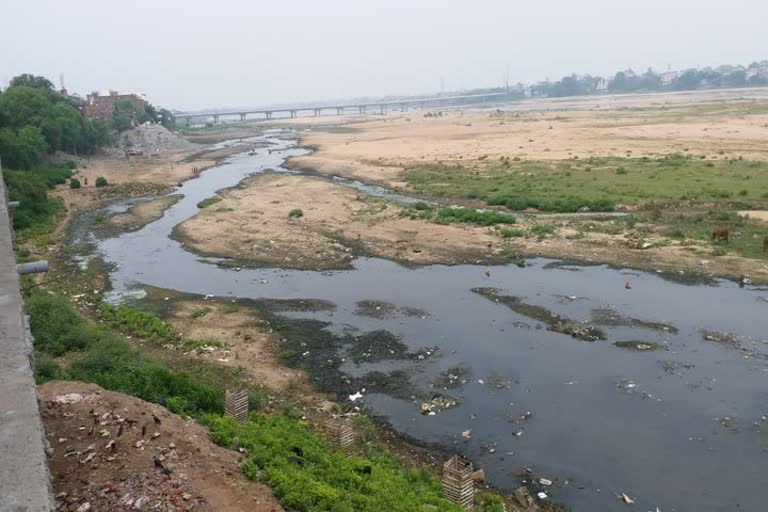 rubber dam on phalgu river has become contaminated
