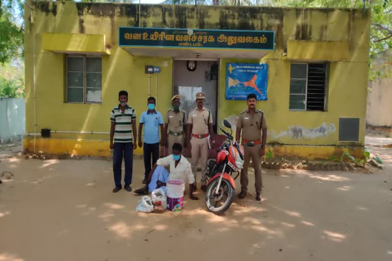 40Kg Sea Cucumber Seized In Rameshwaram