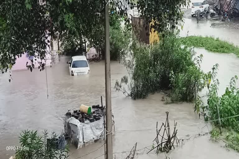 Crops destroyed due to heavy rainfall 