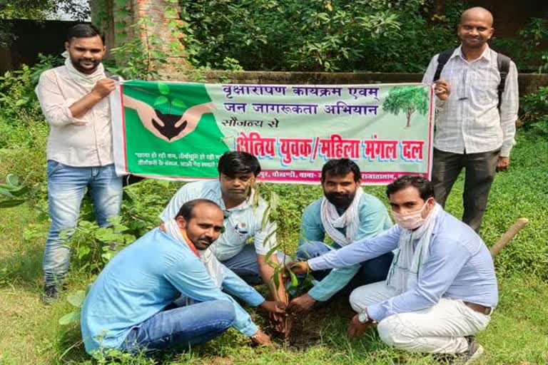 पौधे लगाते क्षेत्रीय युवक मंगल दल के सदस्य.