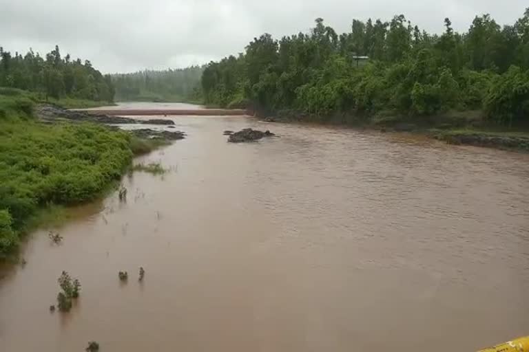 ડાંગ જિલ્લામાં સાર્વત્રિક વરસાદ વરસતા નદીઓમાં પાણીની આવક વધી 