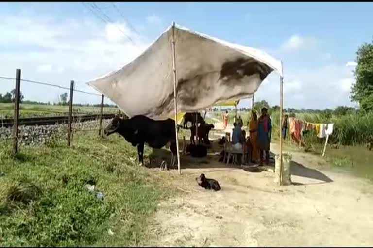 due to rain people are staying on railway line side 