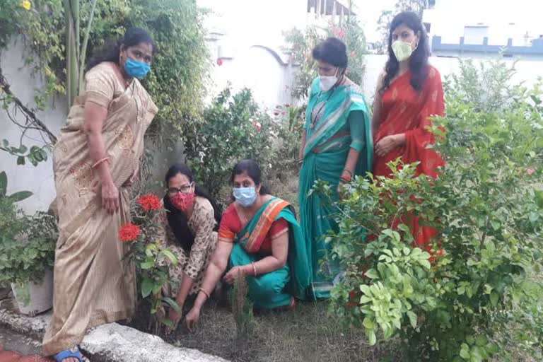 Plantation in sehore