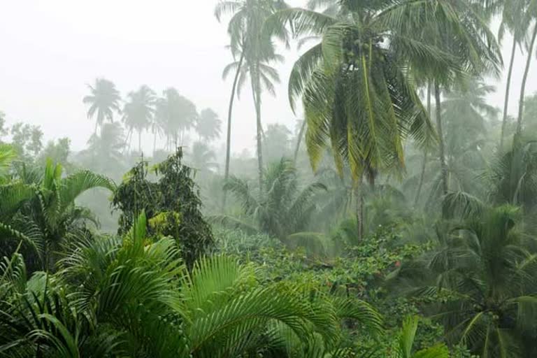 Sindhudurg