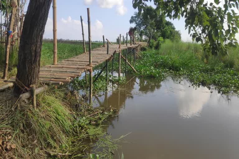 gunj institution and villagers built bridge