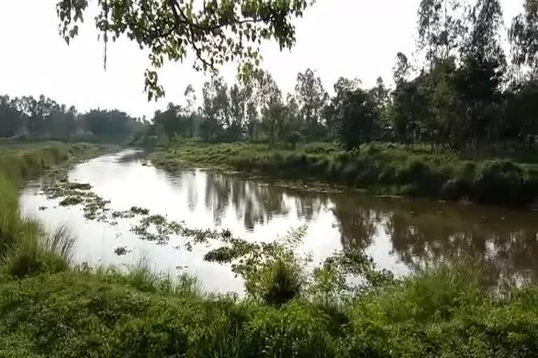 Raiganj kuliko river