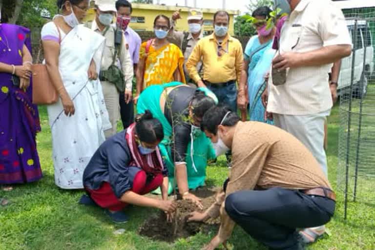 save environment  unique  progem bongigoan dc