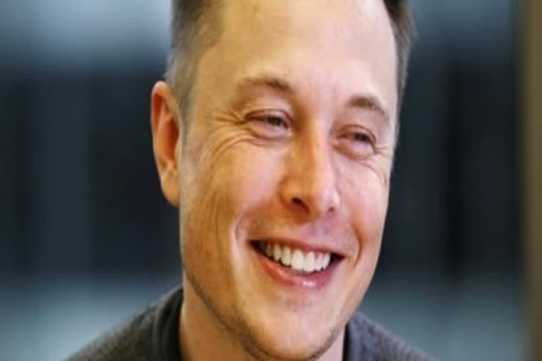 elon