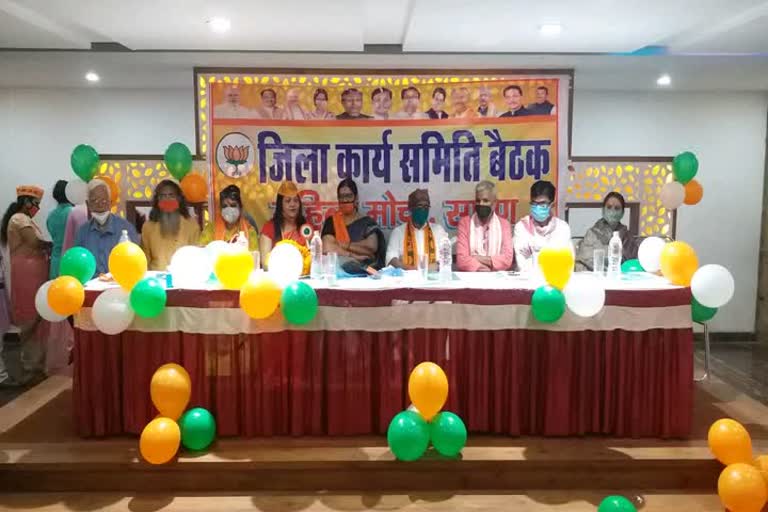 BJP Women's Working Committee