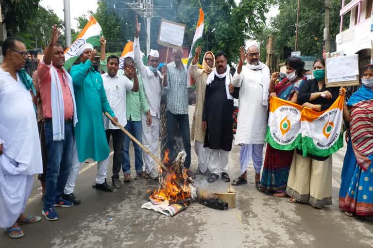 congress workers burn effigy of prime minister