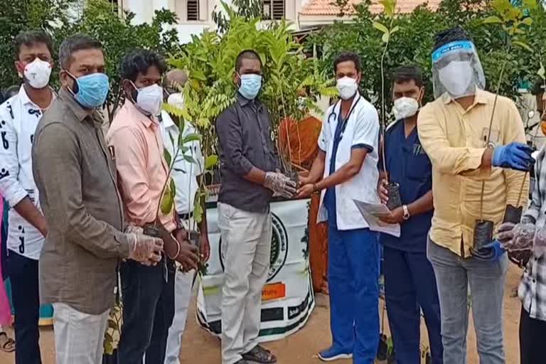 கரோனாவிலிருந்து குணமடைந்தோருக்கு மரக்கன்றுகள் வழங்கி வீட்டுக்கு அனுப்பி வைப்பு