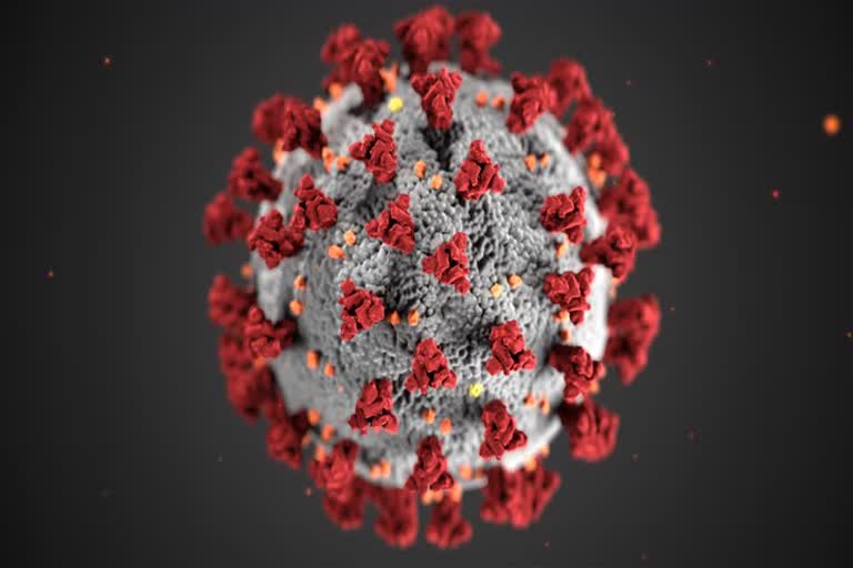 corona virus