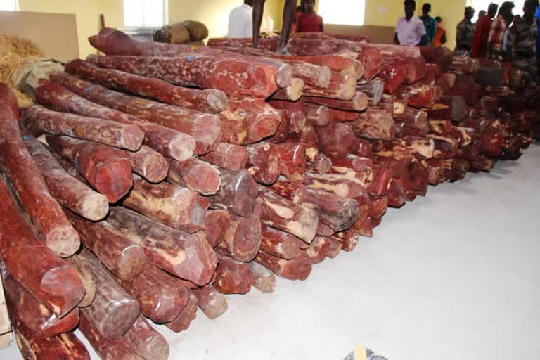 10 tons of red wood seized in Tiruvallur by forest department