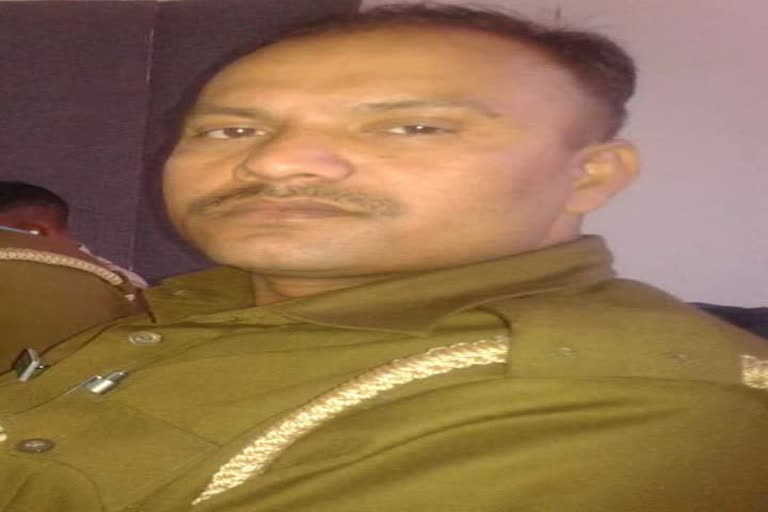 sub-inspector of police