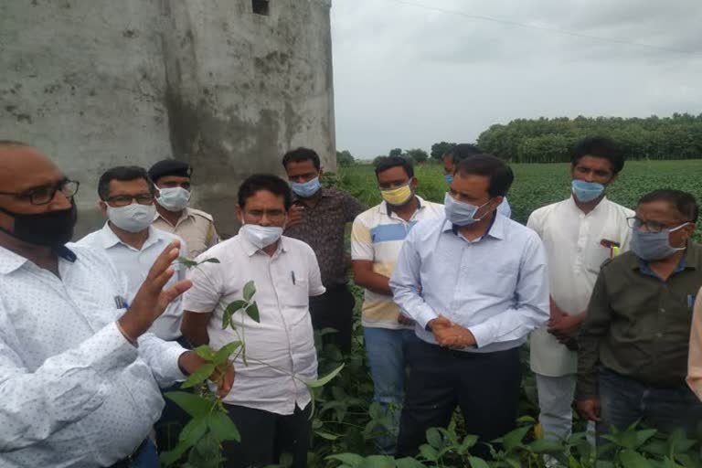 Collector inspected bad soybean crops