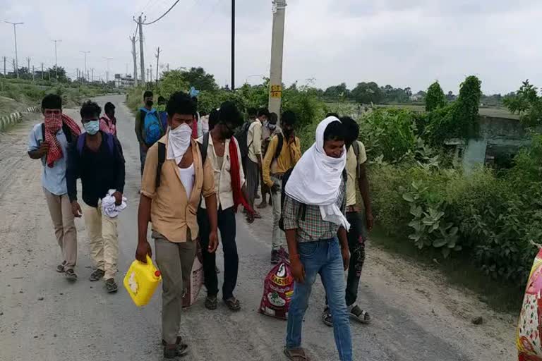 Migrant laborers arriving on foot from Haryana reached Gopalganj