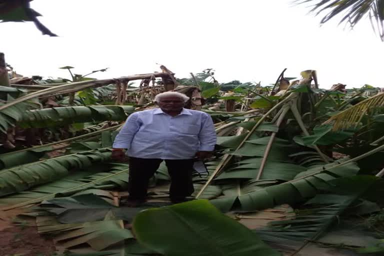 Pondicherry farmers