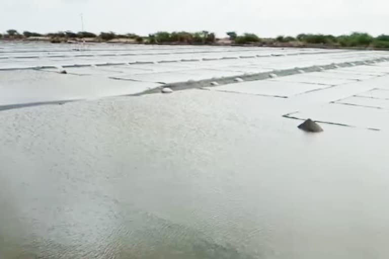 10 Thousand Acres Salt Submerged By Rain