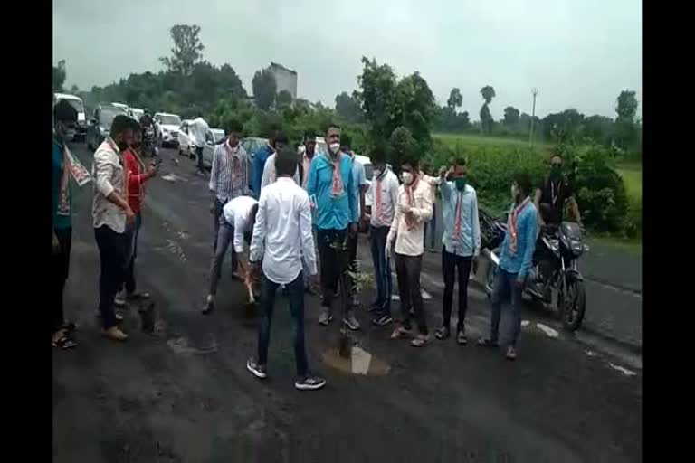 Attempted to plant trees on highway road