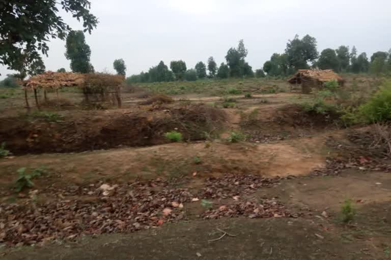 Encroachment in Rampur Bhatodi forest land