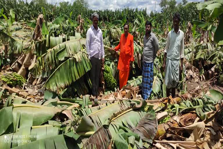  heavy rain lashes in Surapura 