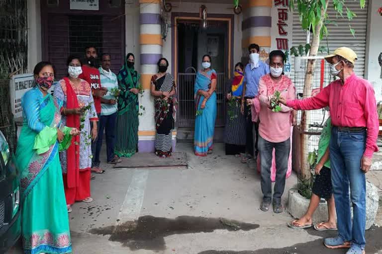 Medicinal plants planted in Shujalpur