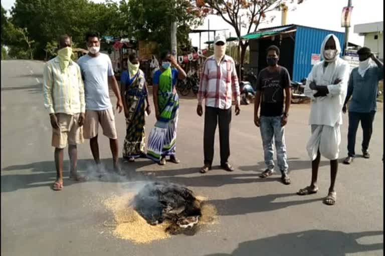 Farmers protest by setting fire to grain