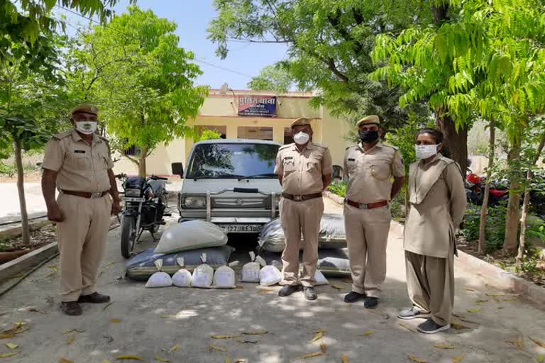 Chittorgarh, Police caught a van, Doda sawdust