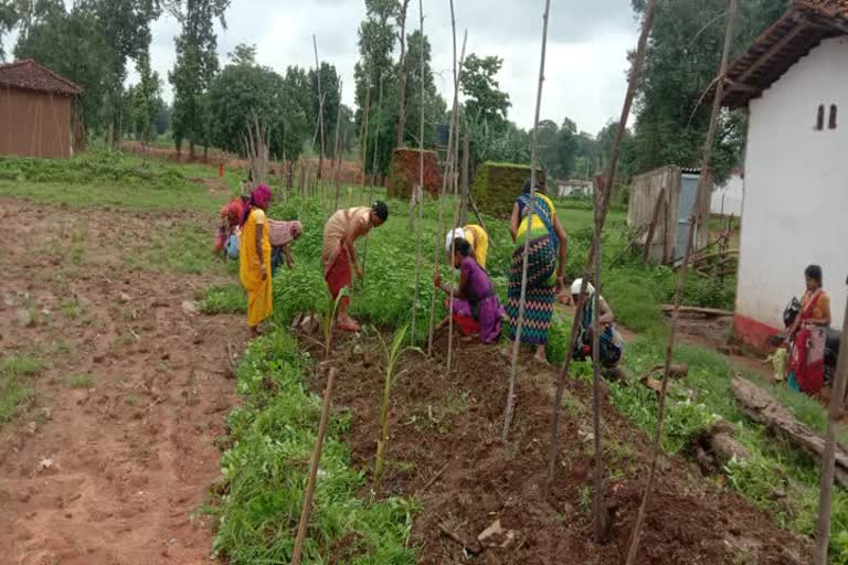 MGNREGA scheme in Gariaband