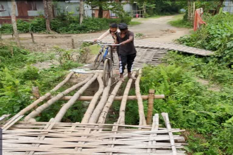 Bamboo bridge 