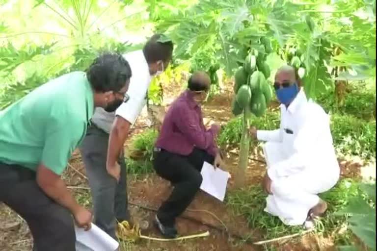 Collector Inspection At Agricultural development projects In Vellore