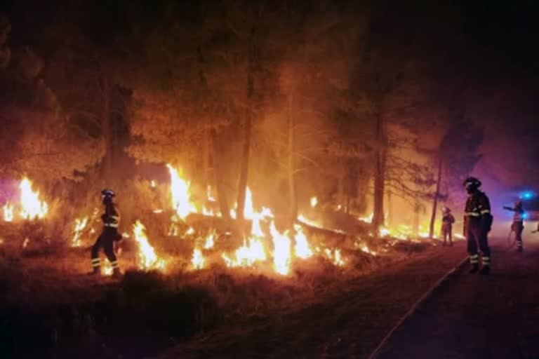 Over 4,000 hectares of land destroyed in wildfires in Spain