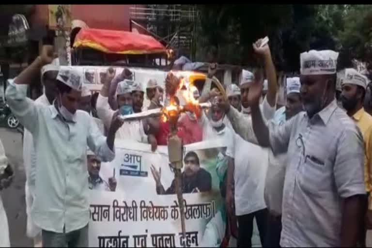 aam aadmi party burnt effigy of prime minister