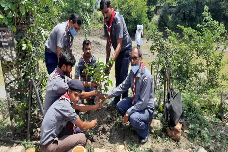 Teachers Association and Scout Guide did plantation