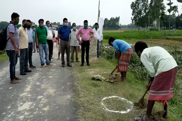 100 days job of tree planting