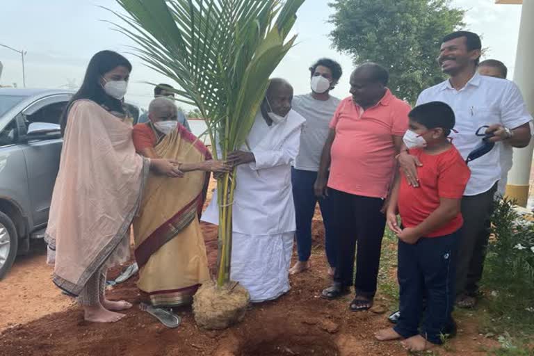 ಹೆಚ್​ಡಿಕೆ ಕೃಷಿ ತೋಟದಲ್ಲಿ ಹೆಚ್​ಡಿಡಿ