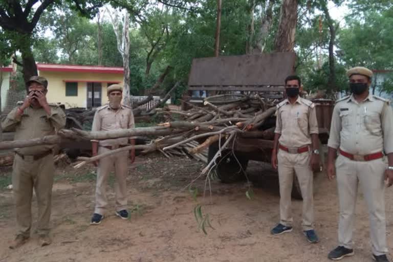 Large amount of raw wood recovered in Giridih