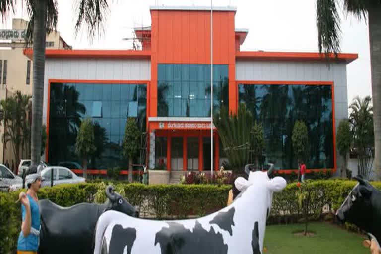 Milk product company 